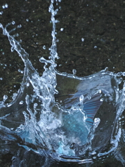 P9101831