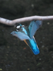 P9101829