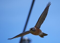 IMG_20220805_153815