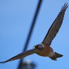 IMG_20220805_153815