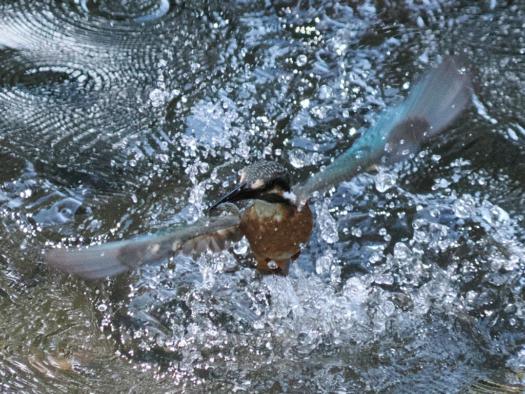 P9101640
