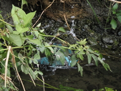 P8201452