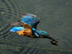 P7300041