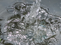P9170738