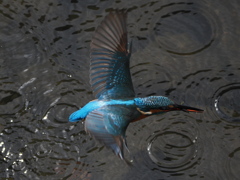 PB050611
