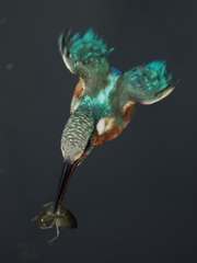 P9170697