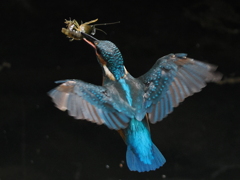 P9170793