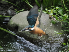 P8071460