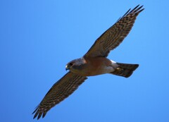 IMG_20220805_153911
