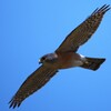 IMG_20220805_153911