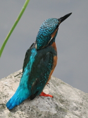 P9170732