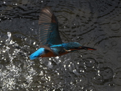 PB050609
