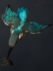 P9170700