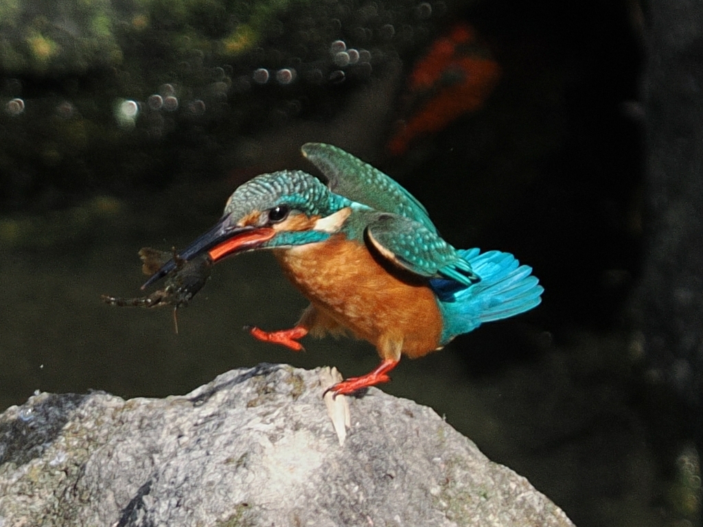 OI000033