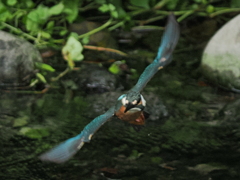 P8141650