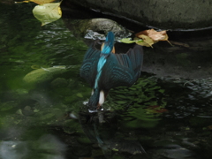 P8071240_1