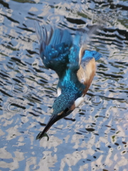 P9170655