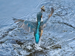 P8270921