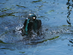 P8033124