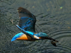 P7300040