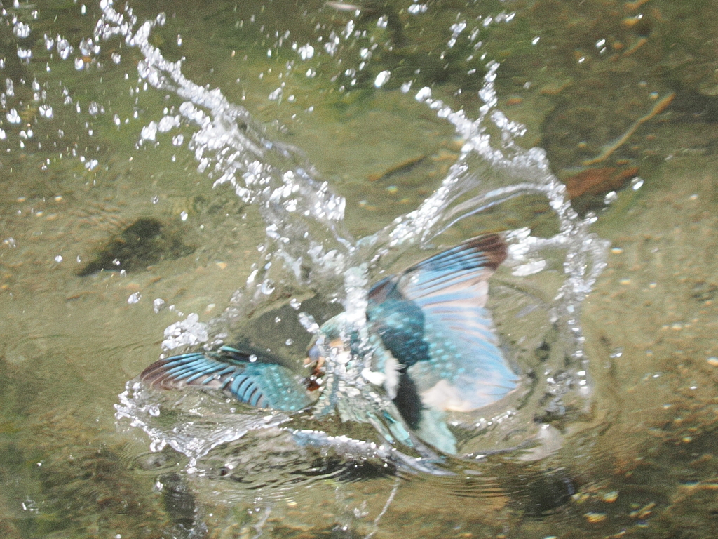 P9101839