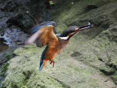P8270945