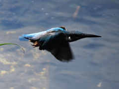 P9101561