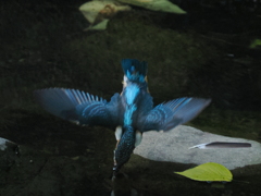 P8101119