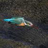 P1081089