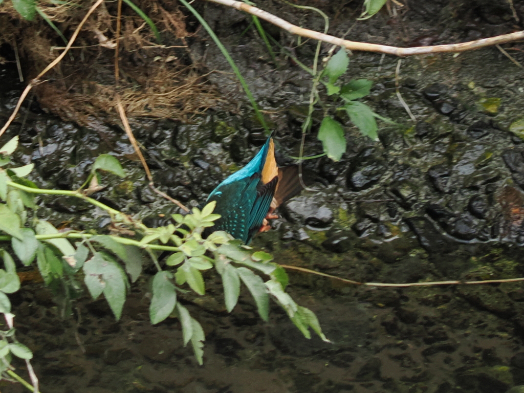 P8201448
