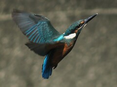 IMG_20220622_174641 (1)