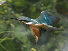 P8201853