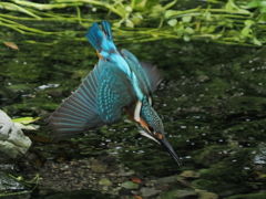 P8141655