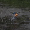 _P5060481