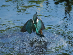 P8033109