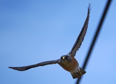 IMG_20220805_153737