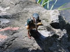 P9101557