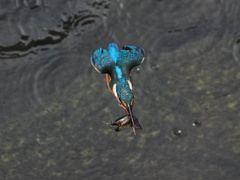 PA082735