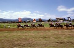 甲冑競馬（相馬野馬追）