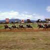 甲冑競馬（相馬野馬追）