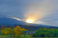 朝霧高原の朝