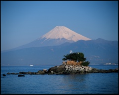 海鳥