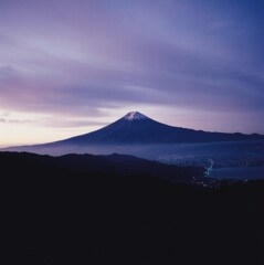 バイオレット