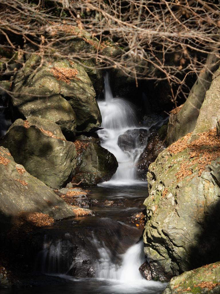 冬枯れの滝