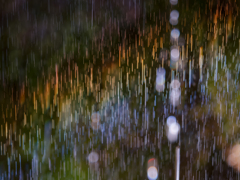 虹色の雨