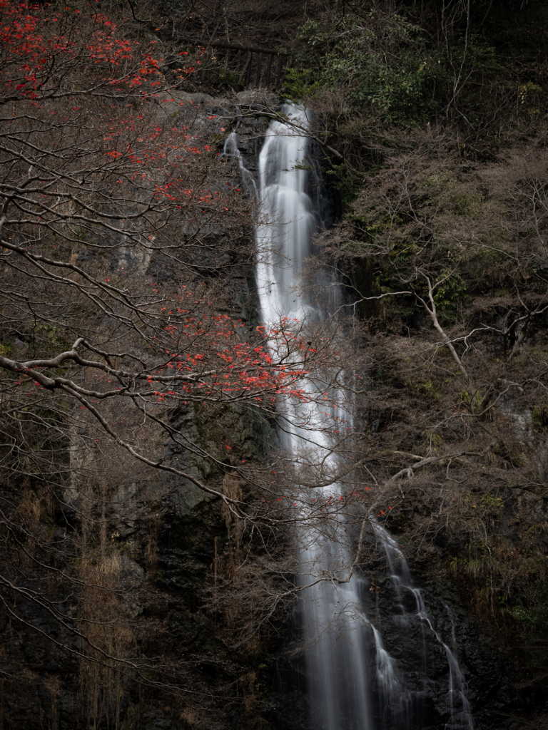 冬の滝彩る