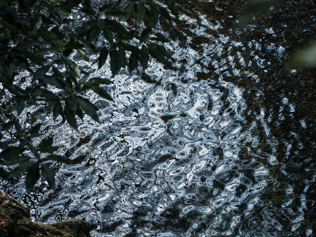 水面の線画