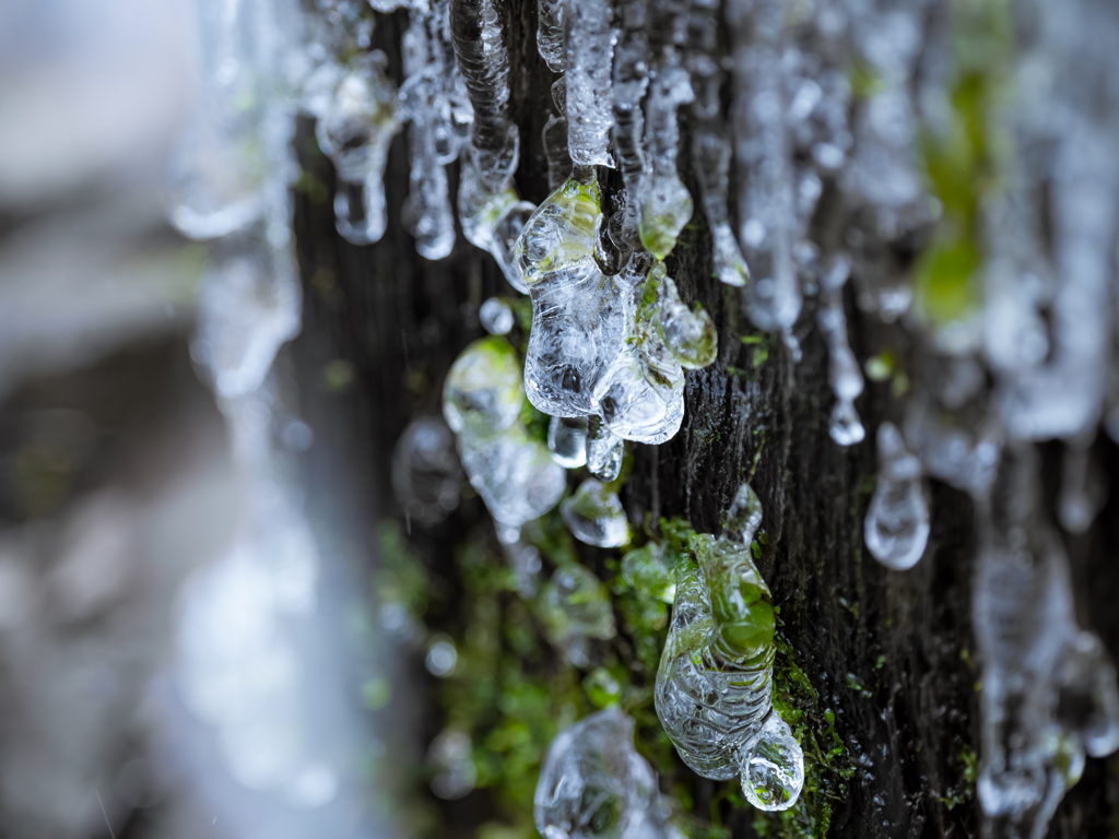 氷の雫