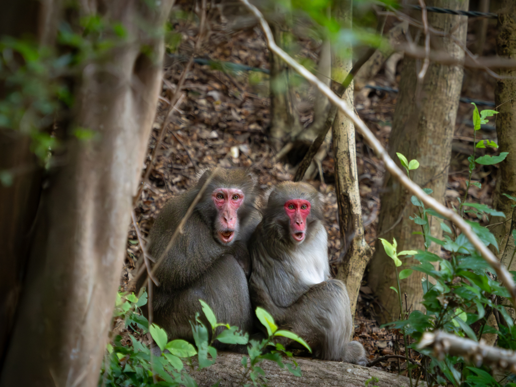 何かに驚くの図