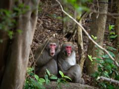 何かに驚くの図